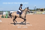 BPP_1490