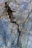 Fracture
