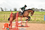Sunday 16th - Arena Eventing and Showing Classes portfolio