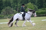 WJ7_4731