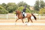 SBM_001374