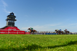 230626-Race 5-Percys Daydream-5344