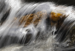 Freshwater 2 portfolio