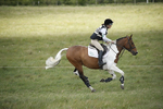 BVHT 140517  IXC -432