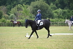 WJ6_5772