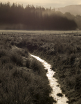 Isle of Mull, Oct. Gruline