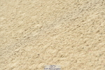 230720A-140632-03314