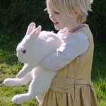 My rabbit