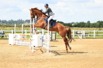 SBM_003353