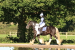 SBM_15611