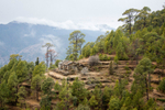 Khali Estate to Dalar