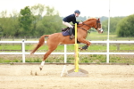 SBM_009299
