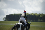 BVHT 140517  IXC -77