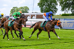 050626-Race 3-Miss Rainbow-3054