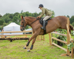 Dunblane show-656
