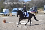BPP_9524