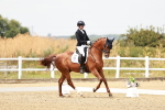 SBM_003641