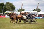 SBM_15331