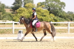 SBM_003959