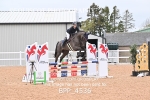 BPP_4536