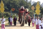 Elephant Conservation Center - Thailand