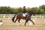 SBM_006890