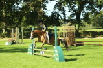 SBM_37424