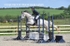 BPP_5579