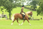 SBM_74972