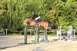 Cls 6 National 1.30m Open portfolio