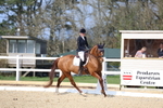 Class 7: Medium 4 2024 portfolio