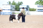 SBM_00244