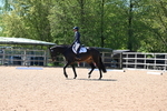 WJ6_8879