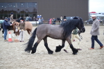 SBM_006185