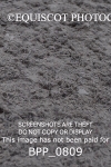 BPP_0809
