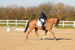 SBM_003480