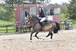 BPP_3337