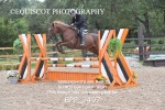 BPP_7497