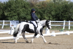 SBM_001214
