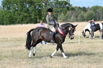 WJ7_7884
