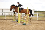 SBM_026910
