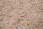 241006A-124542-07290