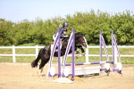 SBM_000849