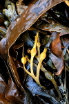 IMG_6867_2