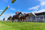 040526-Race 5-Copper Knight-7541