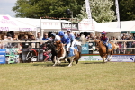 SBM_16681