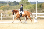 SBM_018354