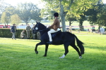 SBM_37338