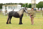 SBM_00622