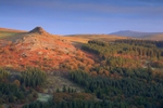 Leather Tor, Leeden Tor & Great Mis Tor